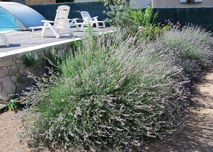 Les Terrasses De Castelmerle Guest house Niaux