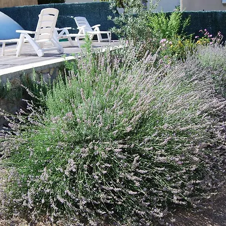Les Terrasses De Castelmerle Πανσιόν Niaux